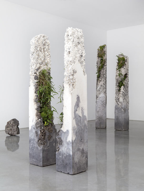 Jamie North, 'Terraforms', 2014 (installation view), cement, marble waste, limestone, steel slag, coal ash, plastic fibre, tree fern slab, various Australian native plant species, dimensions variable. Courtesy the artist and S