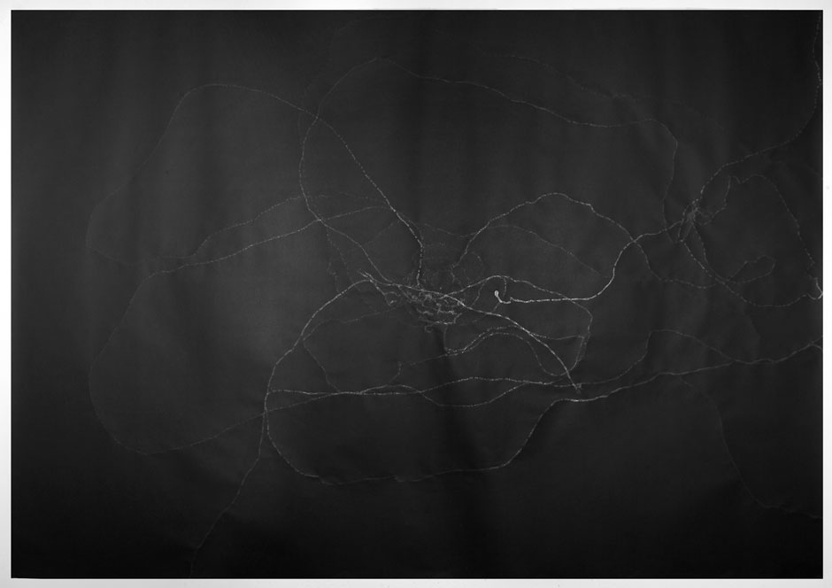 1_Untitled-#7(Shining),-2007,black-background-photograph,snail-trails,-270x420cm-small