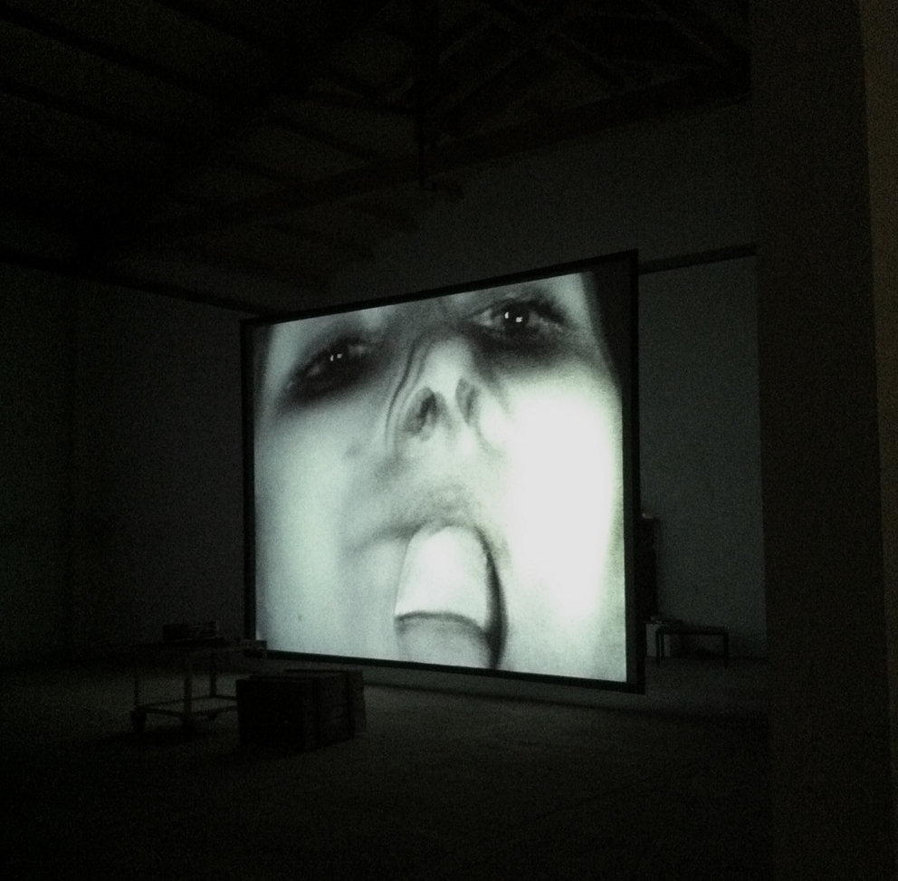 2_installazione video -D'altro canto- 2013
